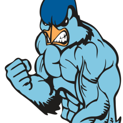 BAW BLUEJAY 13 RC Thumbnail