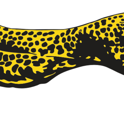 AR CHEETAH 12 RC Thumbnail