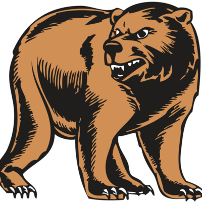 BAW BEAR 09 RC Thumbnail