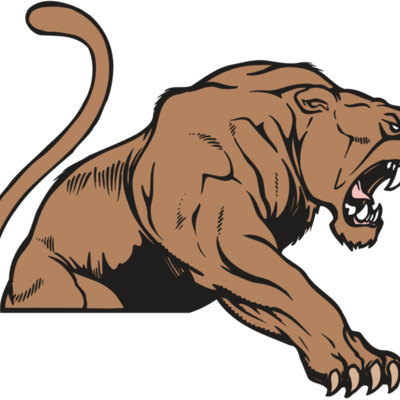 AR COUGAR 55 RC Thumbnail