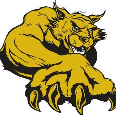 AR WILDCAT 26 RC Thumbnail