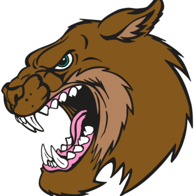 AR5 BOBCAT 18 RQC Thumbnail