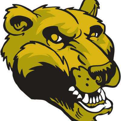 AR BEAR 47 RC Thumbnail