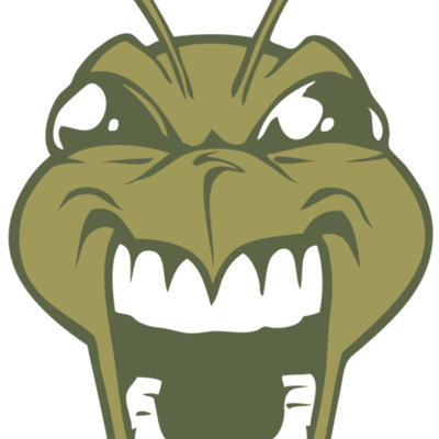 BAW BEE 13 RC Thumbnail