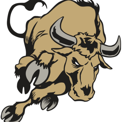 AR BULL 51 RC Thumbnail