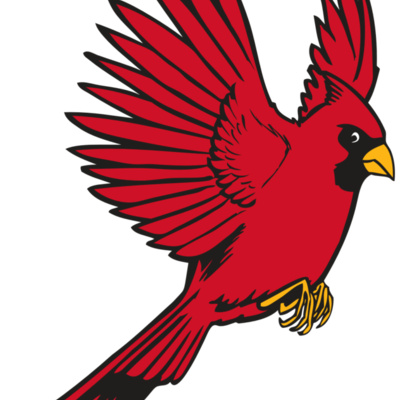 BAW CARDINAL 19 RC Thumbnail