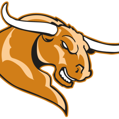 AR BULL 14 RC Thumbnail