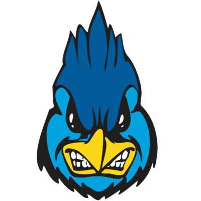 BAW BLUEJAY 02 RC Thumbnail