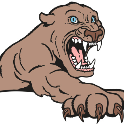 AR5 COUGAR 20 RQC Thumbnail