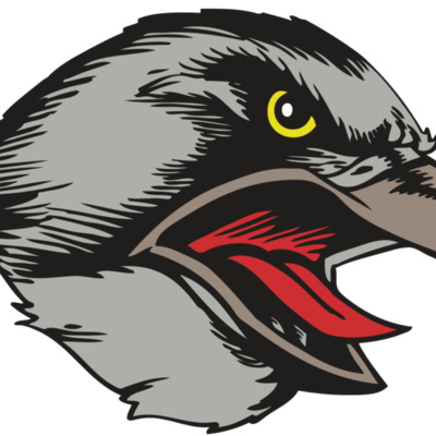 BAW HWK FLCN 13 RC Thumbnail