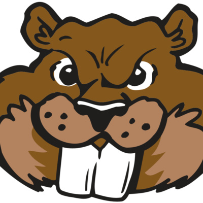 AR BEAVER 10 RC Thumbnail