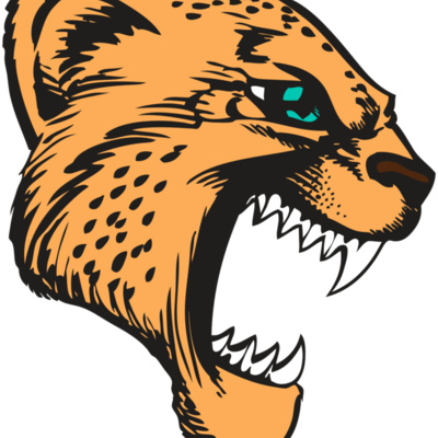 BAW CHEETAH 11 RC Thumbnail