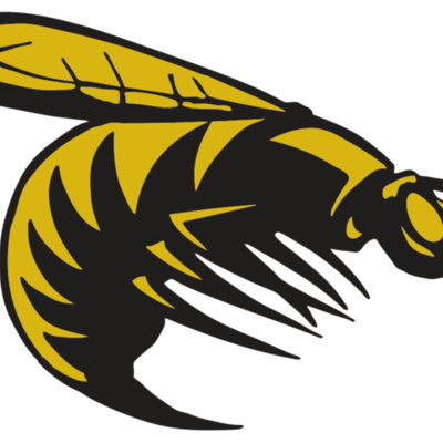 AR BEE 49 RC Thumbnail