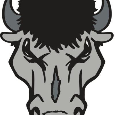 AR BUFFALO 15 RC Thumbnail