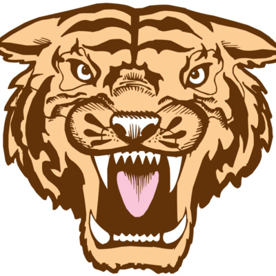 BAW TIGER 05 RC Thumbnail