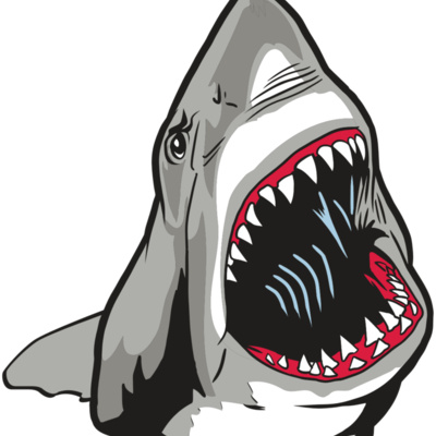 AR20 SHARK 45 RQC Thumbnail