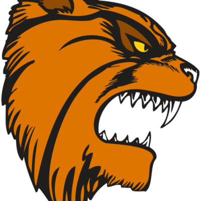 BAW WILDCAT 08 RC Thumbnail